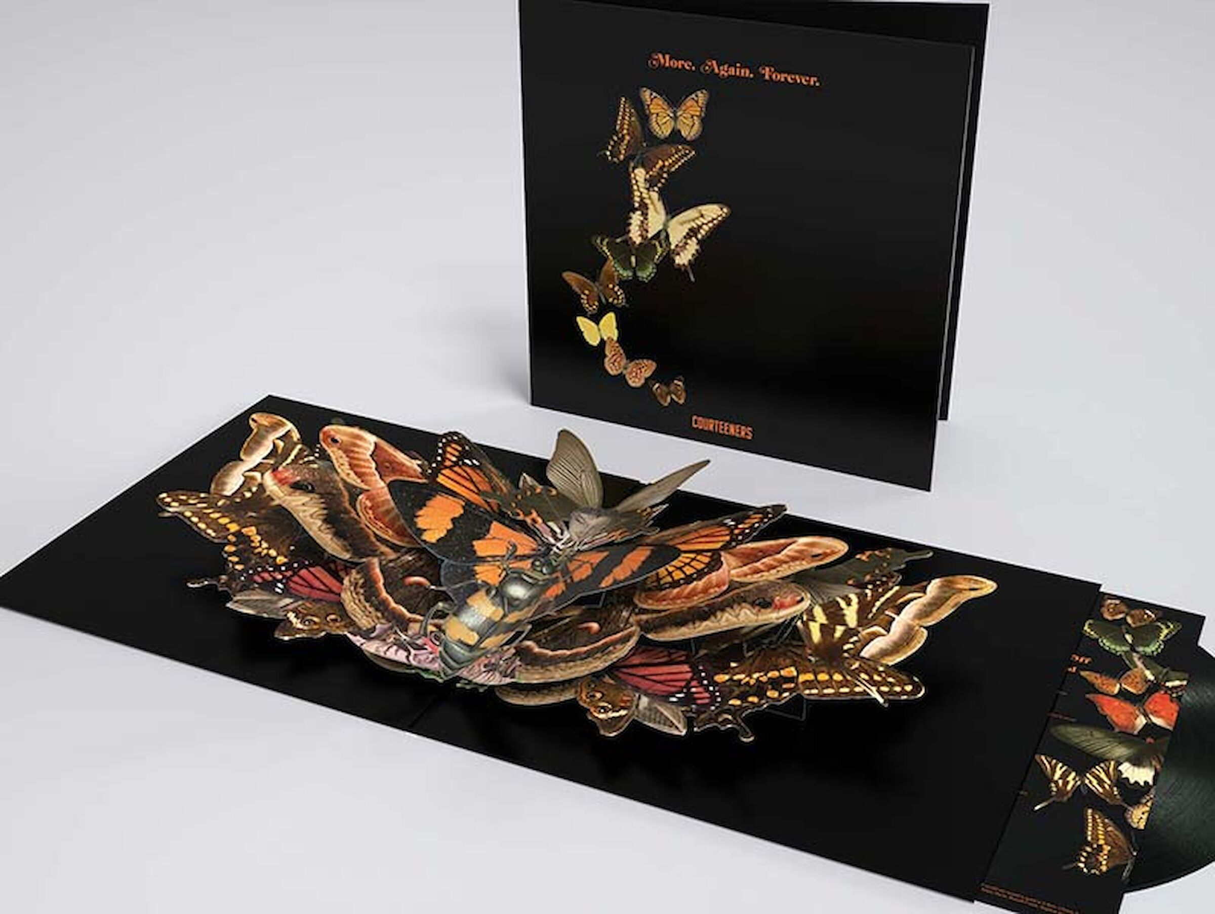 Courteeners ‘More, Again, Forever’ gatefold sleeve showing the beautiful popup butterflies.