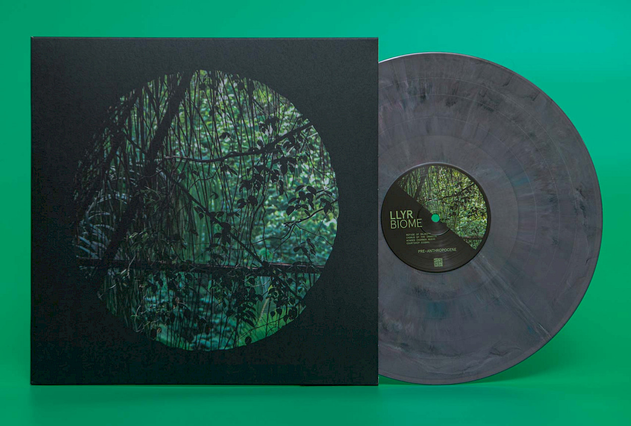 lyre bio vinyl